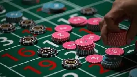 Hoky22 pasang taruhan live odds real-time akurat terpercaya